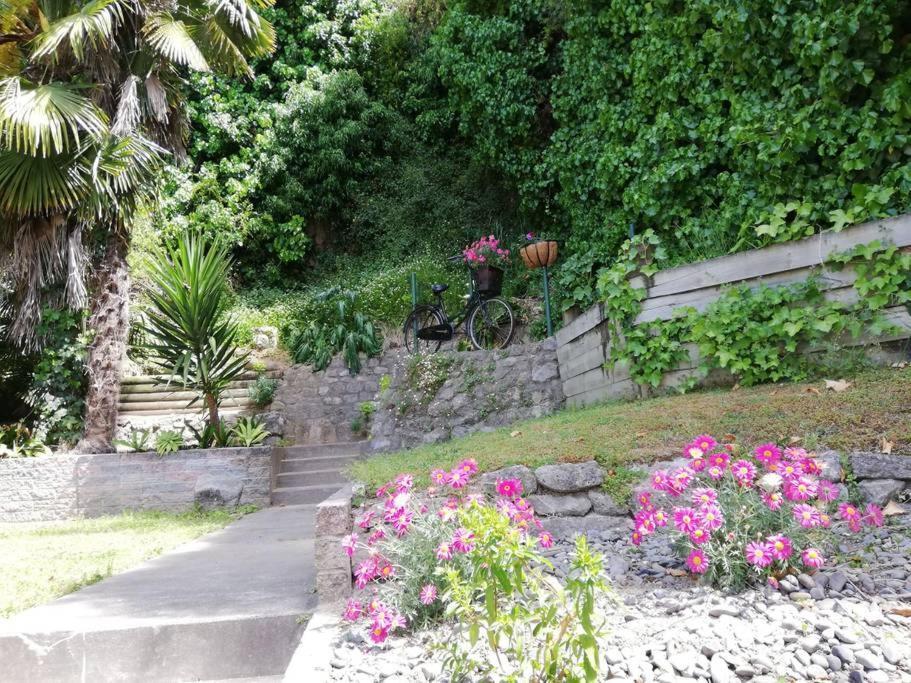 Shakespeare Cottage ネーピア エクステリア 写真